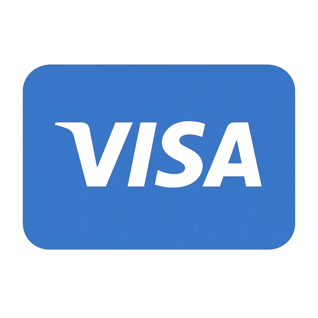 Visa payment icon